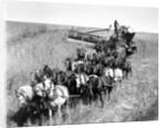 Farmers Use Horse Driven Harvester by Anonymous
