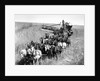 Farmers Use Horse Driven Harvester by Anonymous