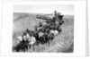Farmers Use Horse Driven Harvester by Anonymous