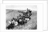 Farmers Use Horse Driven Harvester by Anonymous