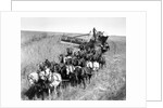 Farmers Use Horse Driven Harvester by Anonymous