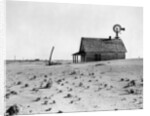 Dust Bowl Farm in Texas by Anonymous