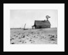 Dust Bowl Farm in Texas by Anonymous