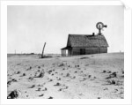 Dust Bowl Farm in Texas by Anonymous