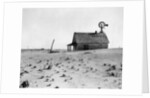 Dust Bowl Farm in Texas by Anonymous