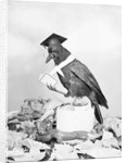 Bird with Glasses, Hat, and Folded Paper by Anonymous