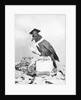 Bird with Glasses, Hat, and Folded Paper by Anonymous
