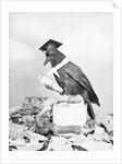 Bird with Glasses, Hat, and Folded Paper by Anonymous