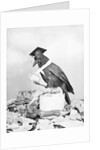Bird with Glasses, Hat, and Folded Paper by Anonymous