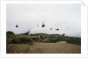 Helicopters Flying in Formation by Anonymous
