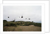 Helicopters Flying in Formation by Anonymous