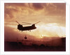 Chinook Helicopter Lifts Ammunition by Anonymous