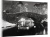 New York Pond in Winter by Anonymous