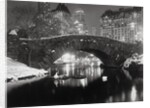 New York Pond in Winter by Anonymous