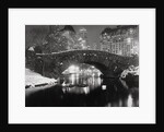 New York Pond in Winter by Anonymous