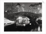 New York Pond in Winter by Anonymous