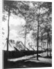 View Of Army Tents And Trees by Anonymous