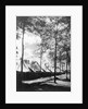 View Of Army Tents And Trees by Anonymous