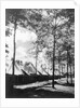 View Of Army Tents And Trees by Anonymous