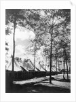 View Of Army Tents And Trees by Anonymous