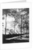 View Of Army Tents And Trees by Anonymous