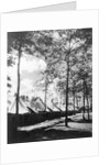 View Of Army Tents And Trees by Anonymous