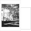 View Of Army Tents And Trees by Anonymous