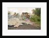 Lava from Kilauea Volcano Consumes Home by Anonymous