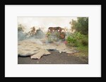 Lava from Kilauea Volcano Consumes Home by Anonymous