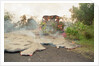 Lava from Kilauea Volcano Consumes Home by Anonymous