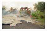 Lava from Kilauea Volcano Consumes Home by Anonymous