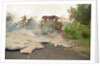 Lava from Kilauea Volcano Consumes Home by Anonymous