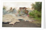 Lava from Kilauea Volcano Consumes Home by Anonymous