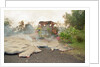 Lava from Kilauea Volcano Consumes Home by Anonymous