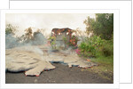 Lava from Kilauea Volcano Consumes Home by Anonymous