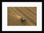 Thrasher Moves Through Wheat Field by Anonymous