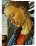 Detail of Mary from Madonna of the Eucharist by Botticelli