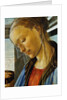 Detail of Mary from Madonna of the Eucharist by Botticelli