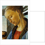 Detail of Mary from Madonna of the Eucharist by Botticelli