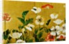 Detail of Poppies Edo Period Screen by Anonymous