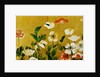 Detail of Poppies Edo Period Screen by Anonymous