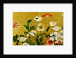 Detail of Poppies Edo Period Screen by Anonymous
