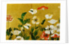 Detail of Poppies Edo Period Screen by Anonymous