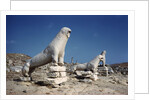Terrace of the Lions at Delos by Anonymous
