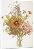 Illustration Depicting a Bouquet of Poppies, Carnations and Foxglove by Anonymous