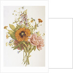 Illustration Depicting a Bouquet of Poppies, Carnations and Foxglove by Anonymous