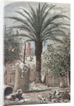 Illustration Depicting a Farmyard in St. Augustine, Florida by Anonymous