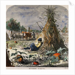 October by Harry Fenn