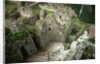 Inca Ruins at Machu Picchu by Anonymous