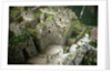 Inca Ruins at Machu Picchu by Anonymous